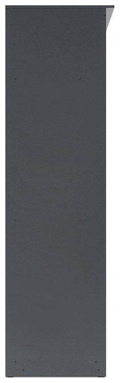 Шкаф-купе СВ Мебель №25, 200x220х65 см, графит купить,NaN