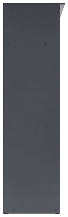 Шкаф-купе СВ Мебель №25, 200x220х65 см, графит купить,NaN