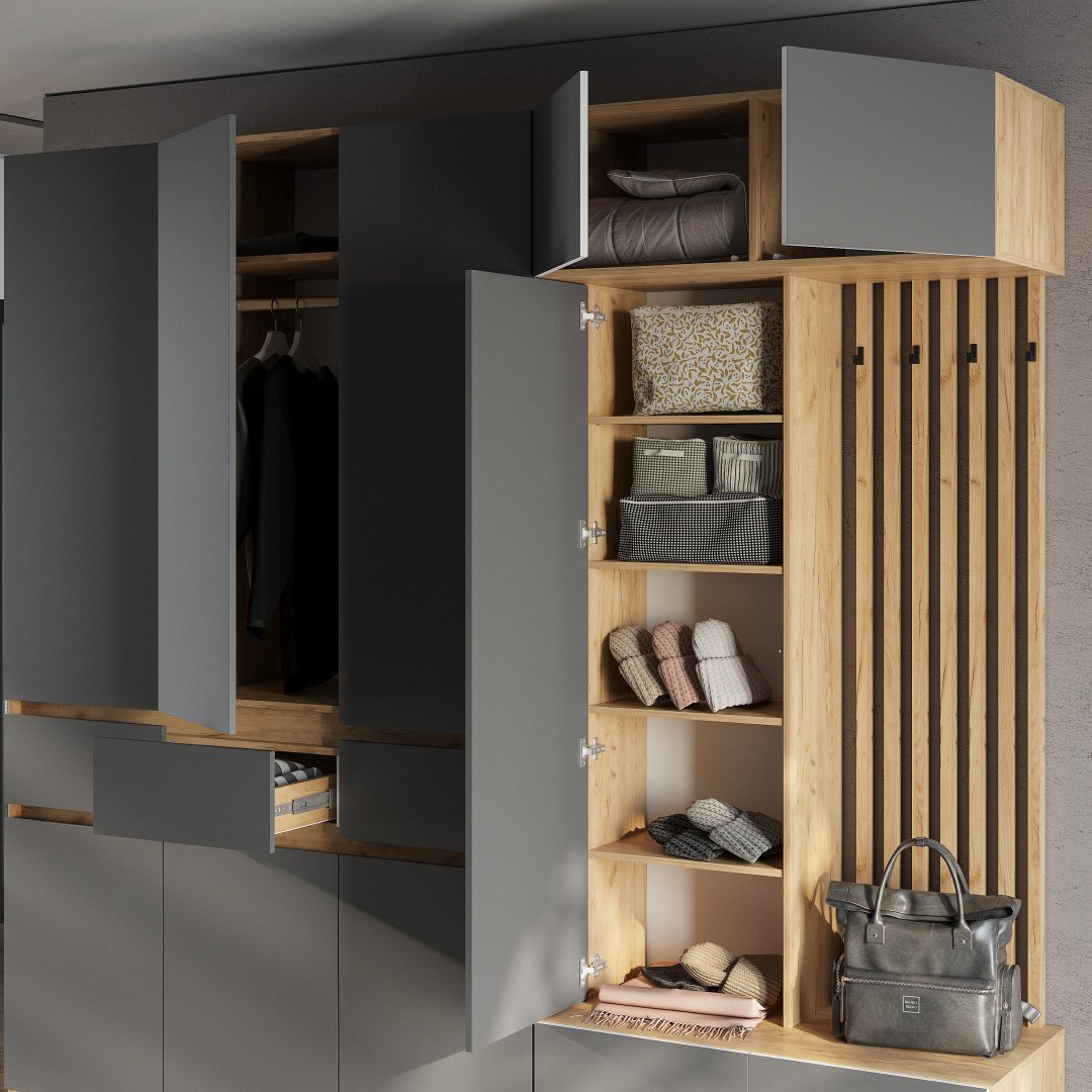 Распашной шкаф BTS Багира, 100.2x238.4х51 см, графит, светло-коричневый купить,NaN