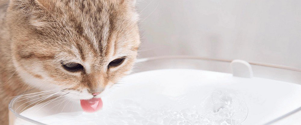 Диспенсер воды для кошек и собак Xiaomi Smart Pet Fountain BHR6161EU купить,NaN