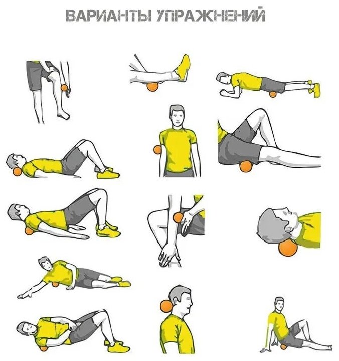 Массажер Sportleader SPL063 мяч разминающий купить,1750