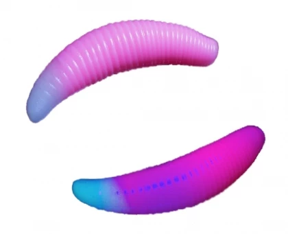 Приманка силиконовая Trout Baits Jara Bruchi 40 Сыр 531 меняет цвет купить,NaN