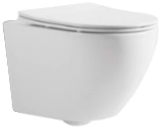 SSWW унитаз WCT3029, санфаянс