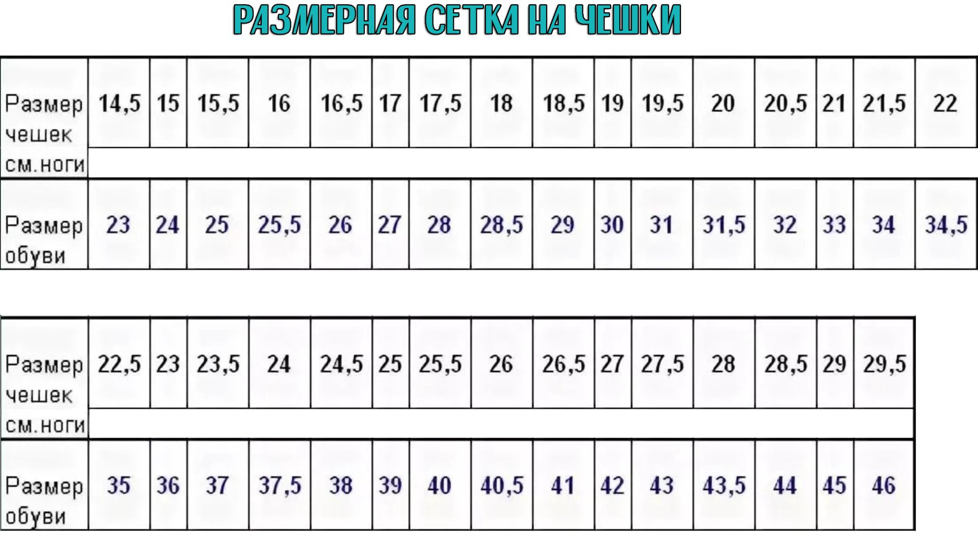 Чешки Sportleader SPLB черный купить,900
