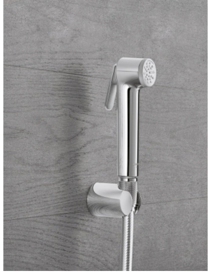 Grohe гигиенический душ Tempesta-F Trigger Spray 30 26352000 купить,NaN