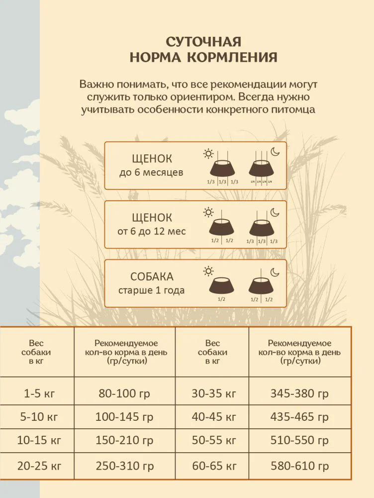 Сухой корм для собак Fred Foster говядина и курица 2кг - ForteMarket Сухой корм для собак Fred Foster говядина и курица 2кг купить,0