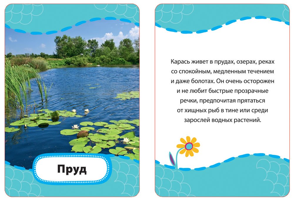 Развивающая литература Кто где живет кто что ест купить,NaN