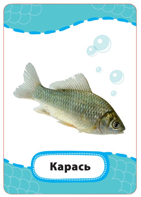 Развивающая литература Кто где живет кто что ест купить,NaN