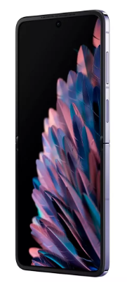 Смартфон Oppo Find N2 Flip 256Gb Moonlit Purple купить,NaN