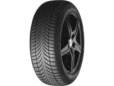 Шина  Nexen WH2 225/55 R16 95H зимняя купить,42250