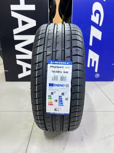 Triangle EFFEXSPORT TH202 195/45 R16 84 W без шипов