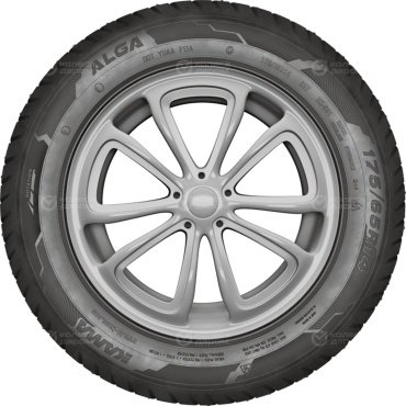 Нижнекамскшина Кама-Alga НК-531 175/65 R14 82 T с шипами купить,NaN