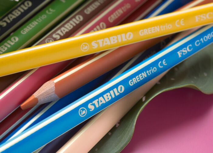 Карандаши цветные Stabilo GreenTrio 12 шт 6203/12 купить,NaN
