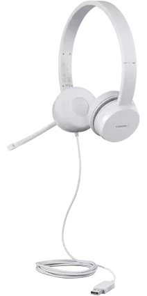Наушники Lenovo 110 Stereo USB белый купить,26988