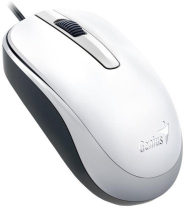 Мышь Genius DX-120 31010105102 White - ForteMarket Мышь Genius DX-120 31010105102 White купить,0