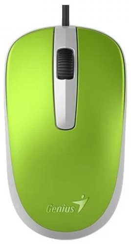 Мышь Genius DX-120 31010105105 Green