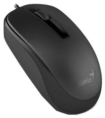 Мышь Genius DX-120 31010105100 Black купить,0