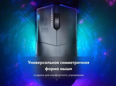 Мышь ThundeRobot ML903 черный купить,0