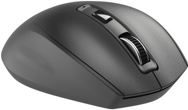 Мышь 2E 2E-MF250WBK черный купить,0