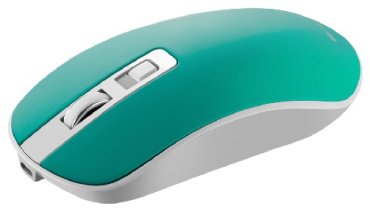 Мышь Canyon MW-18 CNS-CMSW18A бирюзовый - ForteMarket Мышь Canyon MW-18 CNS-CMSW18A бирюзовый купить,0