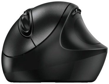 Мышь Genius Ergo 8300S 31030037400 Black купить,0