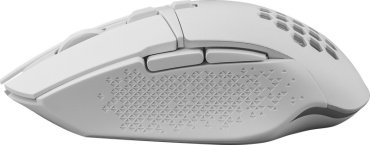 Мышь Defender Glory GM-514 (52513) белый купить,0