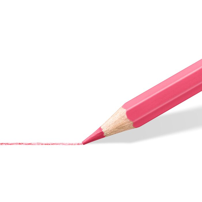 Карандаши цветные Staedtler Pastel 12 шт 146-C12-PA купить,0
