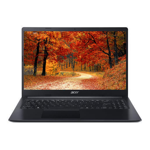 Ноутбук Acer EX215-21 NX.EFUER.001 Black