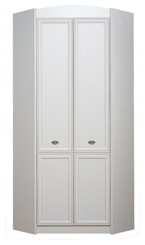 Распашной шкаф BRW Салерно SZFN2D, 97.5x220х97.5 см, белый