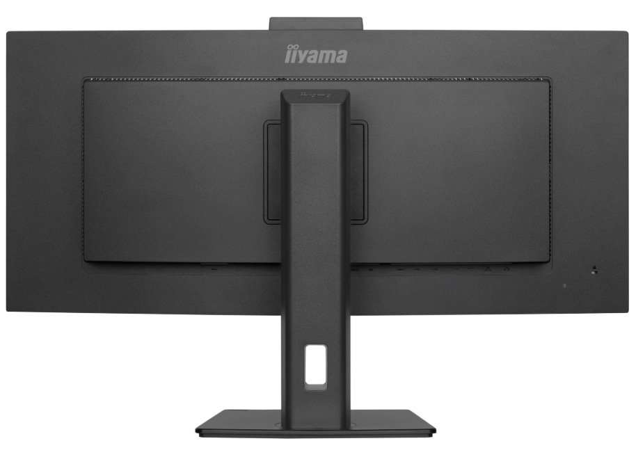 Монитор 34" Iiyama PL3497WQP XCB3497WQSNPH-B1 черный
