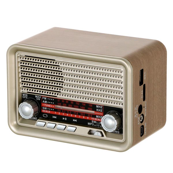 Радиоприемник Ritmix RPR-030 золотистый  купить,NaN