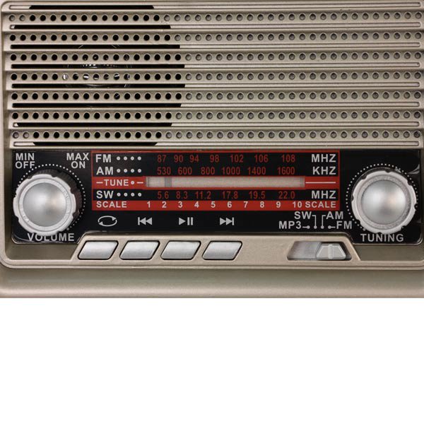Радиоприемник Ritmix RPR-030 золотистый  купить,NaN