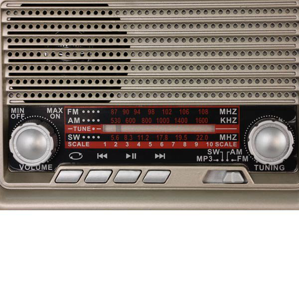 Радиоприемник Ritmix RPR-030 золотистый  купить,NaN