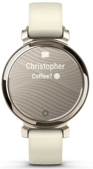 Смарт-часы Garmin Lily 2 with Coconut Silicone Band 010-02839-00 35мм Cream Gold купить,0