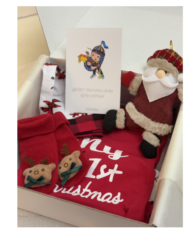 Комплект для малышей Ais Baby Box 788641555 74-80 см 5 предметов 