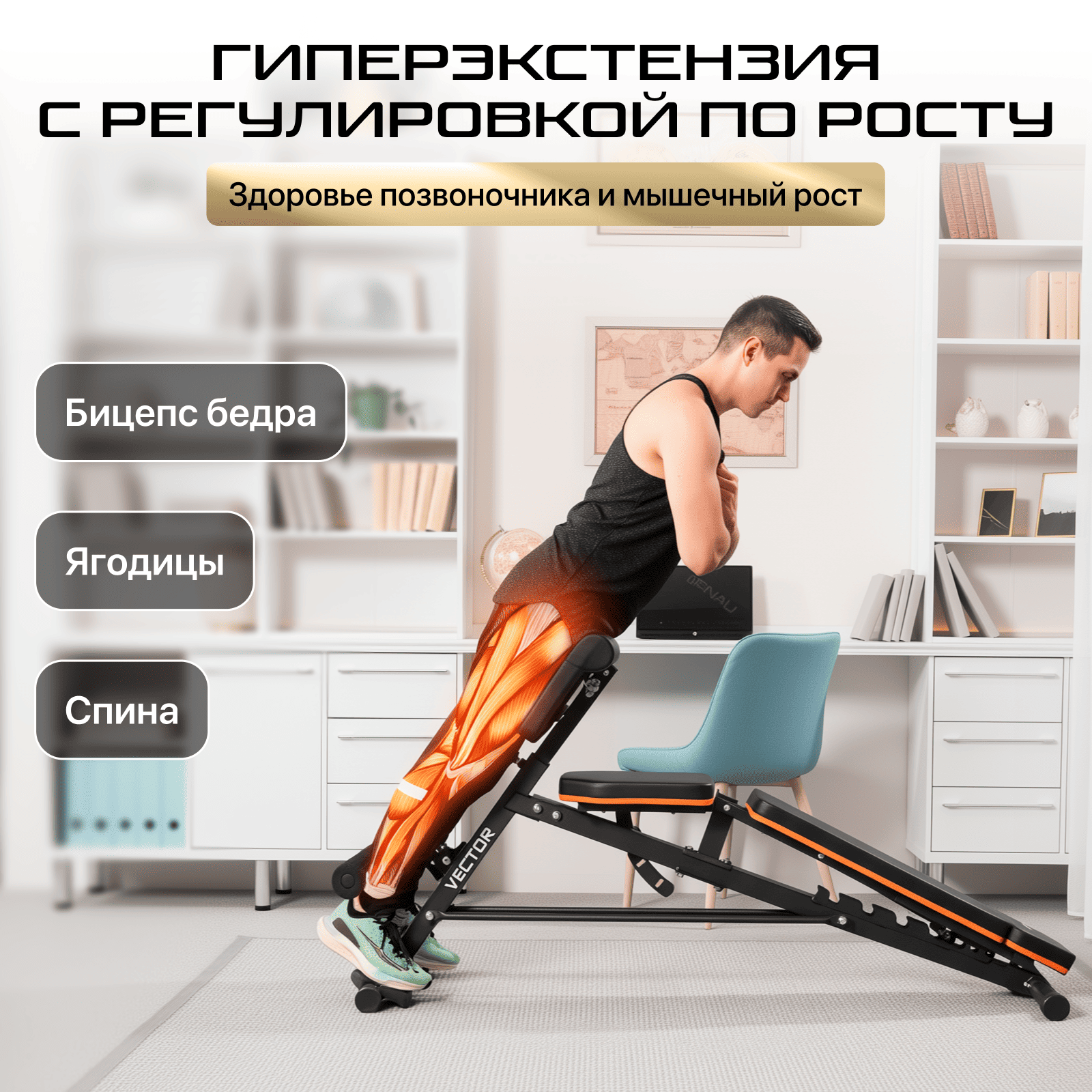 Скамья регулируемая с гиперэкстензией Genau Vector чёрная купить,79890