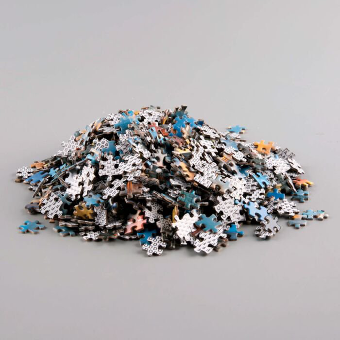 Пазлы Puzzles Космический путешественник 1000 деталей купить,NaN