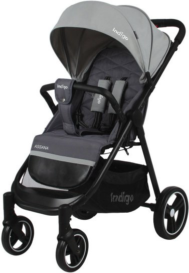 Коляска прогулочная Indigo Assana SAG020 Grey/Light grey  купить,NaN