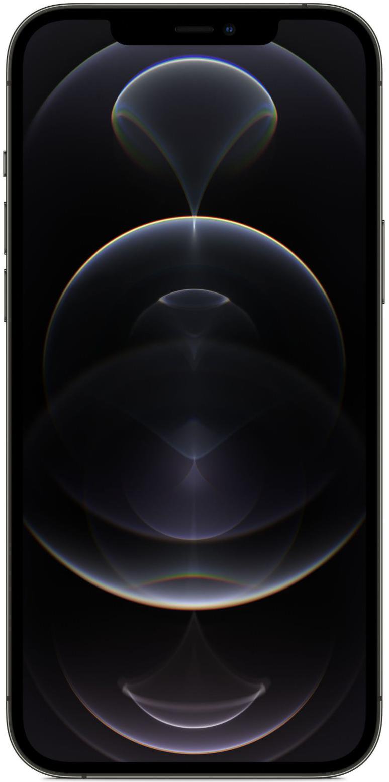 Смартфон Apple iPhone 12 Pro Max 256Gb Graphite купить,0