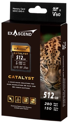 Карта памяти Exascend EX512GSDV60 512 Гб