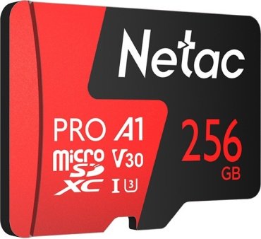Карта памяти Netac P500 Extreme Pro 256 Гб купить,0