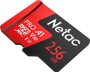 Карта памяти Netac P500 Extreme Pro NT02P500PRO-256G-R 256 Гб купить,0