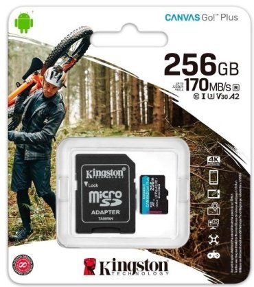 Карта памяти Kingston SDCG3/256GB 256 Гб купить,0