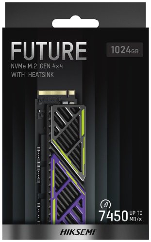 SSD FutureX, HS-SSD-FUTUREX 1024G 1024 Гб - ForteMarket SSD FutureX, HS-SSD-FUTUREX 1024G 1024 Гб купить,0