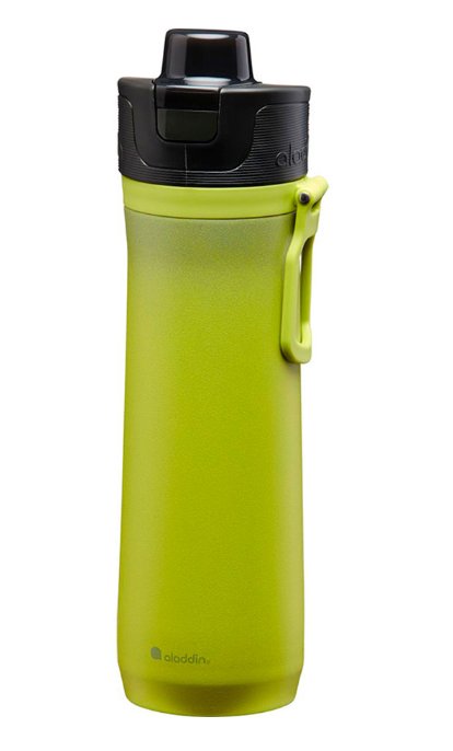 Термокружка Stanley Aladdin Sports 10-10871-003 600 мл зеленая купить,NaN