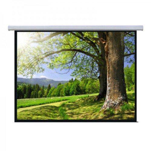 Экран моторизованный Mr.Pixel MSPSAC200V2 