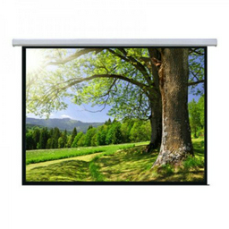 Экран моторизованный Mr.Pixel MSPSAC200V2 
