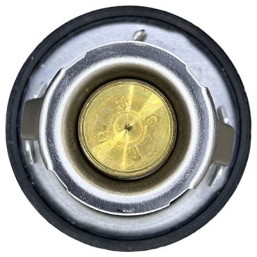 TAMA термостат W56FA-78 купить,0