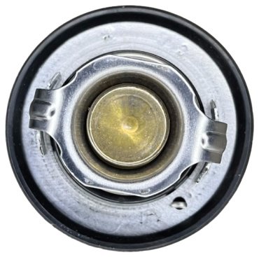 TAMA термостат W54NB-82 купить,0