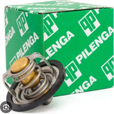 Pilenga термостат TT-P4001